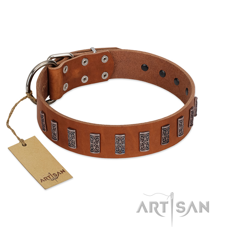 "Silver Century" Fashionable FDT Artisan Tan Leather Boxer Collar with Silver-Like Plates - Click Image to Close