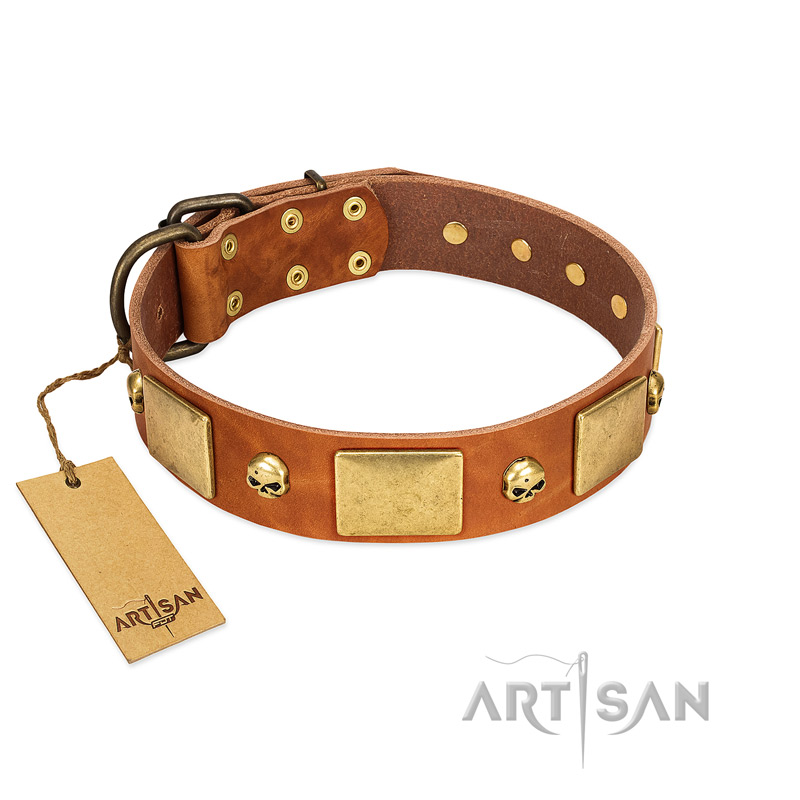 "Mutt The Daredevil" FDT Artisan Tan Leather Boxer Collar with Old Bronze-like Skulls and Plates