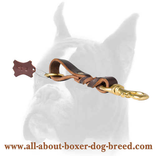 Attractive leash for Boxer