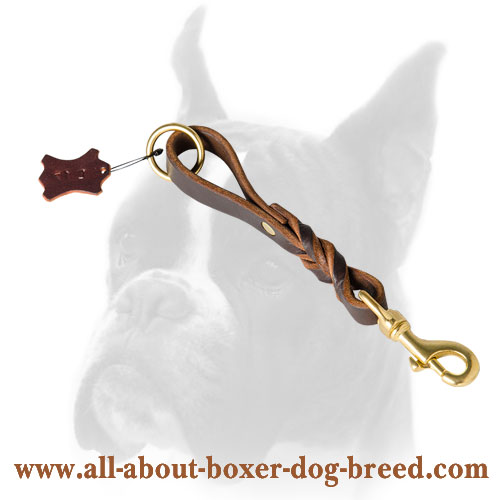 Leather leash with O ring for Boxer