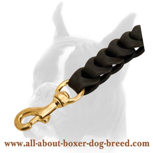 Extra Durable Leather Dog Leash with Brass Snap-hook