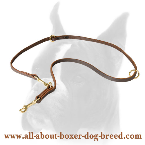 Leather Boxer leash for tracking
