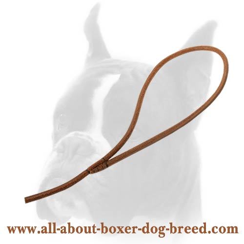 Available in different sizes Dog Leash