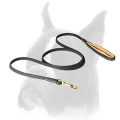 Leather leash with dependable snap hook