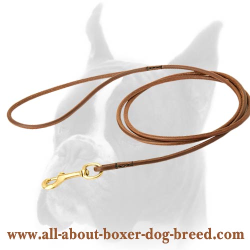 Handmade Thin Leather Leash