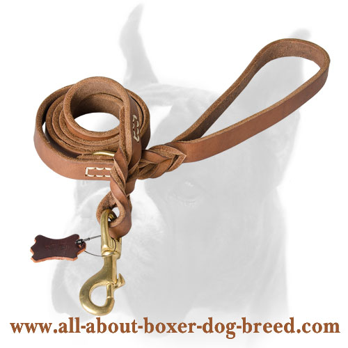Boxer Leather Leash with Brass Hardware