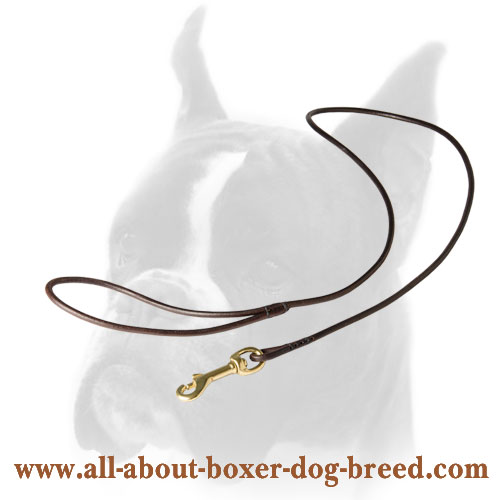 Durable leather dog leash with sturdy snap hook