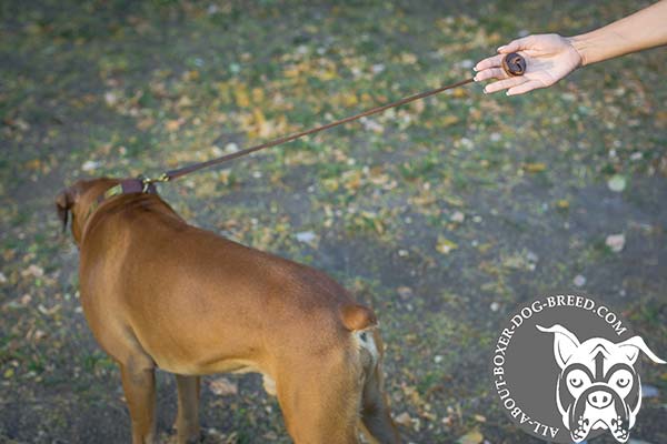 Boxer leather-leash of classic design with brass plated hardware for daily walks