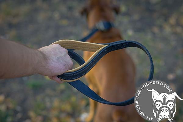 Boxer leather leash of classic design with brass plated hardware for quality control