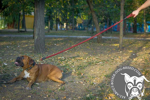 Boxer nylon-leash with corrosion resistant hardware for professional use