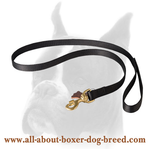 Nylon Boxer leash for walking and training