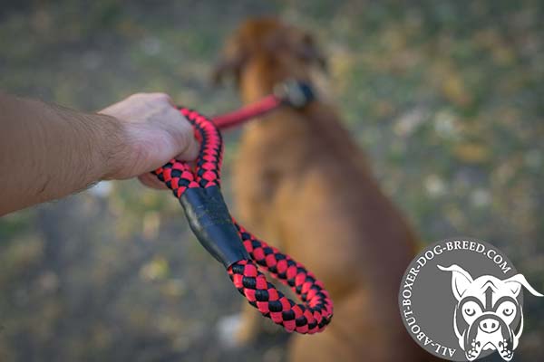 Boxer nylon-leash with reliable brass plated hardware for walking