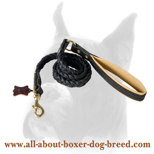 Strong Boxer leash
