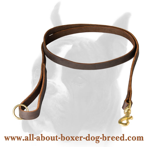 Functional Boxer leash of genuine leather