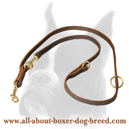 Dependable leather leash for Boxer