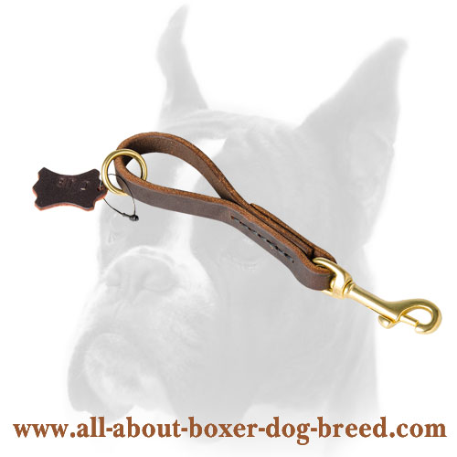 Extra strong leather Boxer leash