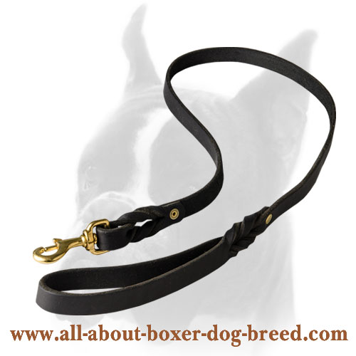 Braided leather leash for Boxer with brass snap hook  