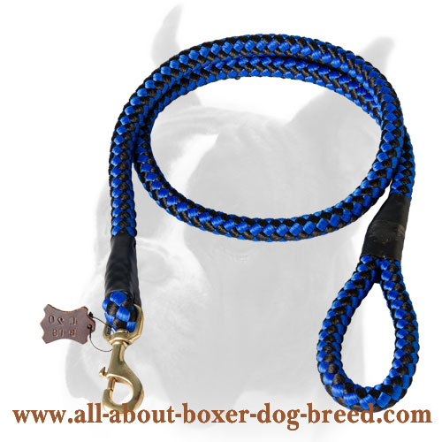 Dependable nylon leash for different kinds of training