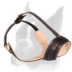 Nappa Padded Leather Muzzle for Boxer with Open-Ended Construction